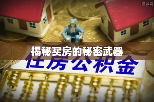 静乐揭秘买房的秘密武器