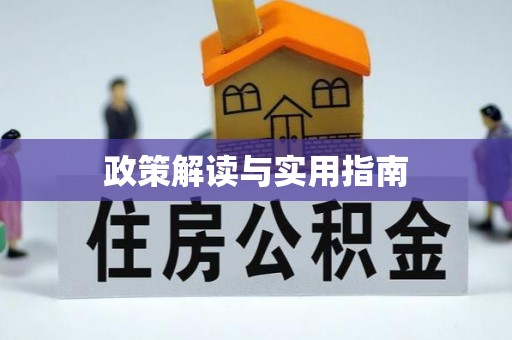 静乐政策解读与实用指南
