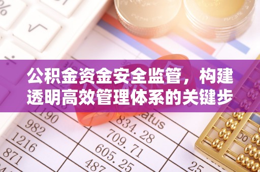 静乐公积金资金安全监管，构建透明高效管理体系的关键步骤