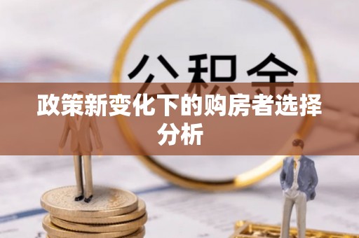静乐政策新变化下的购房者选择分析