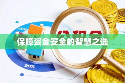 静乐保障资金安全的智慧之选