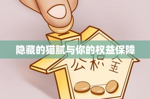 静乐隐藏的猫腻与你的权益保障