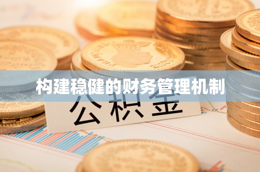 静乐构建稳健的财务管理机制