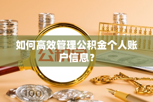 静乐如何高效管理公积金个人账户信息？