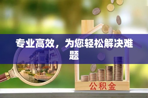 静乐专业高效，为您轻松解决难题