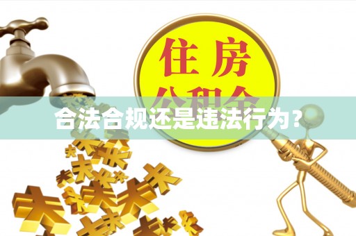 静乐合法合规还是违法行为？