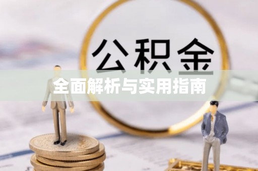 静乐全面解析与实用指南