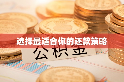 静乐选择最适合你的还款策略