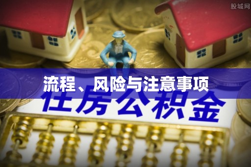 静乐流程、风险与注意事项
