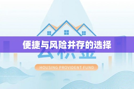 静乐便捷与风险并存的选择